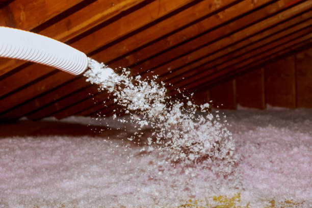 Types of Insulation We Offer in Grizzly Flats, CA