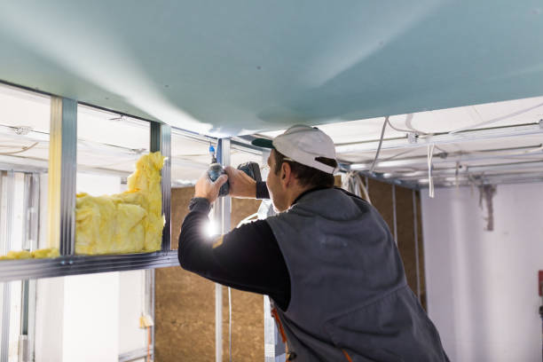 Best Commercial Insulation in Grizzly Flats, CA