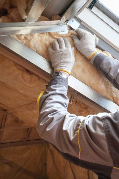 Best Geographic-Specific Insulation Services in Grizzly Flats, CA